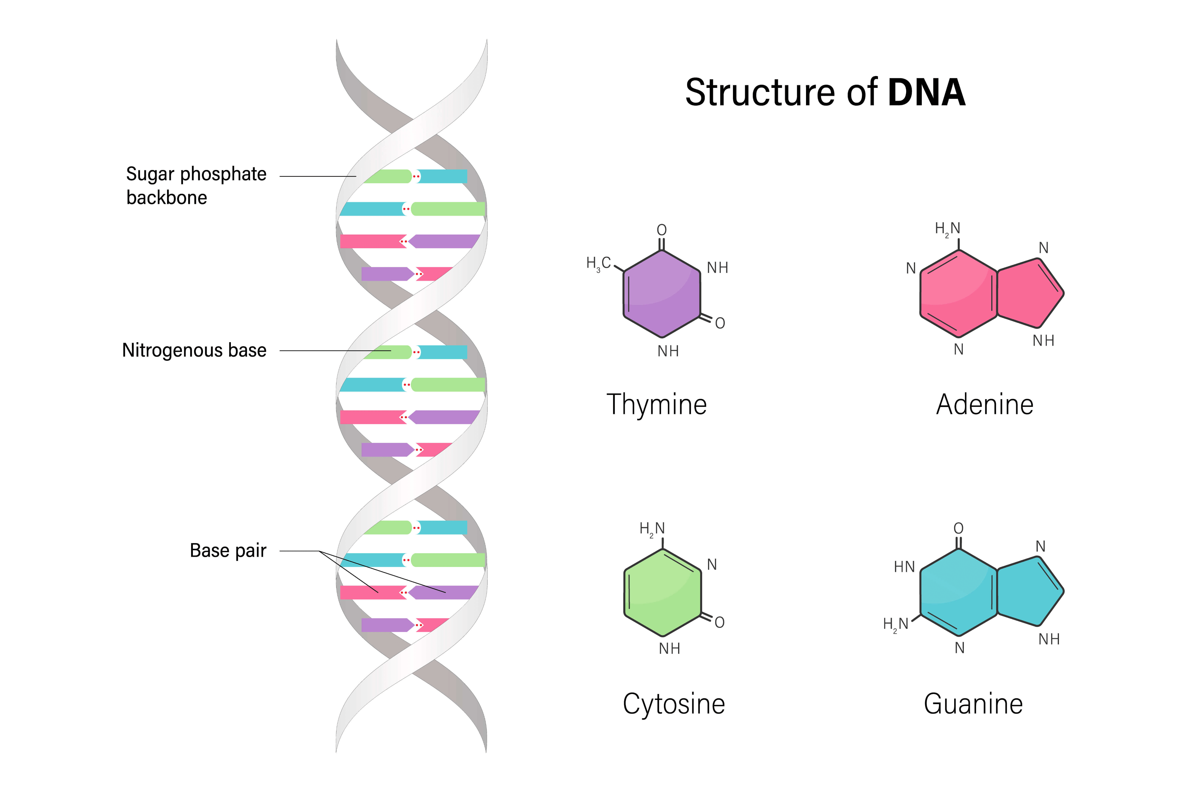 DNA Sequencing Precision Med